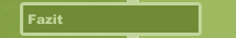 Fazit
